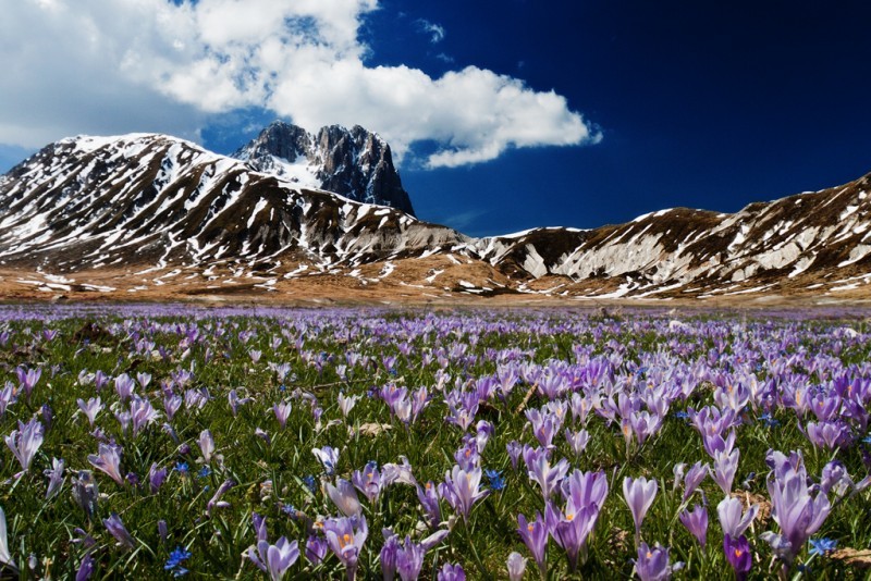 Campo Imperatore
