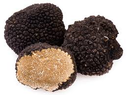 tartufo scorzone